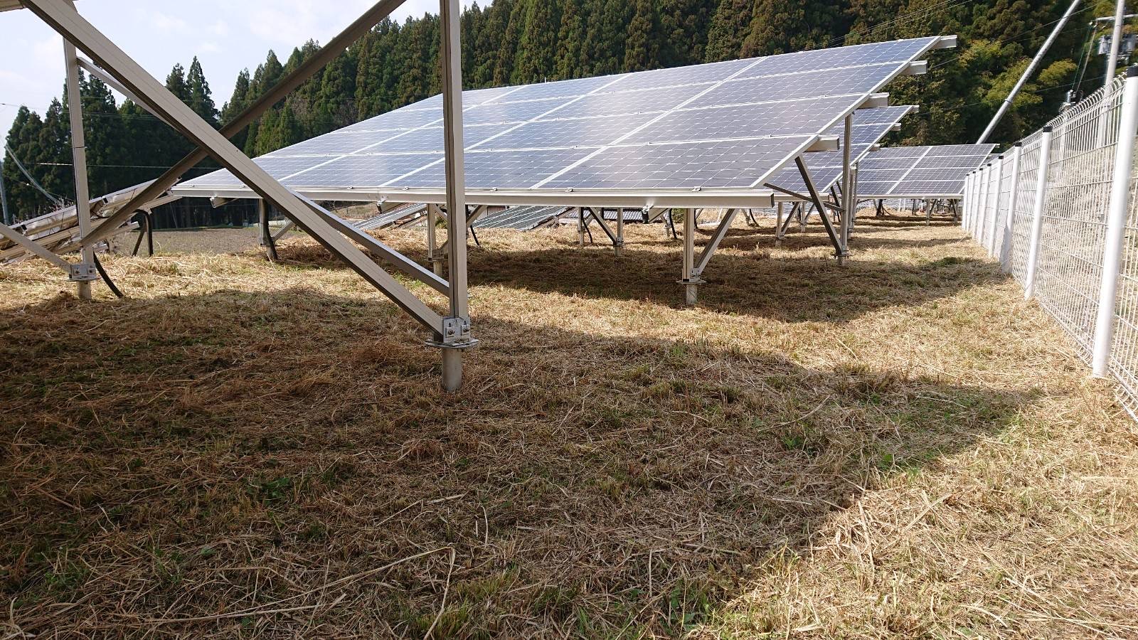 太陽光発電ソーラーパネル写真3